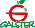 Logo Galster