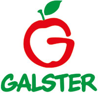 Logo Galster