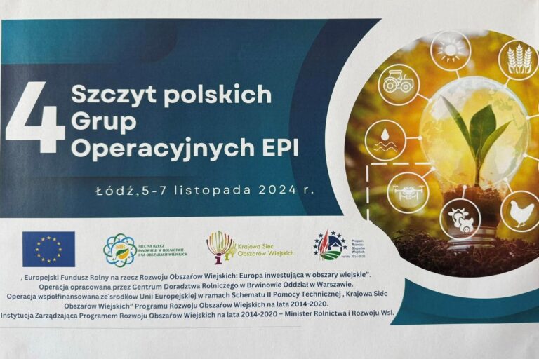 IV Szczyt Polskich Grup Operacyjnych EPI